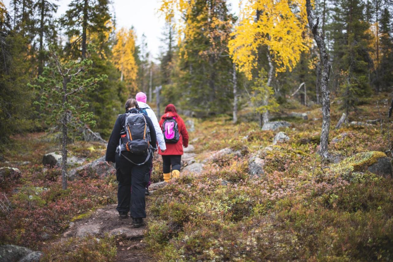 Arctic Sky Lapland Villa Сариселка Екстериор снимка