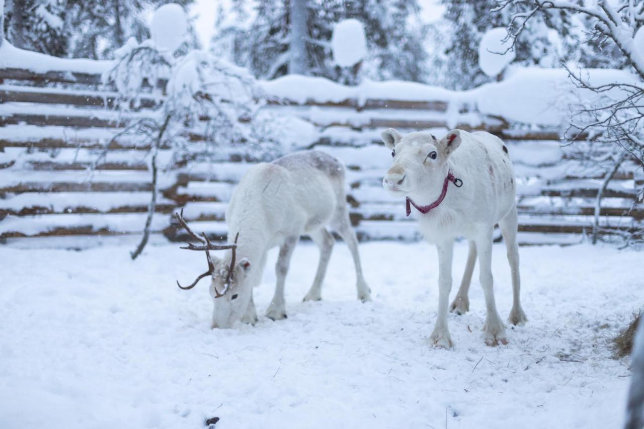 Arctic Sky Lapland Villa Сариселка Екстериор снимка