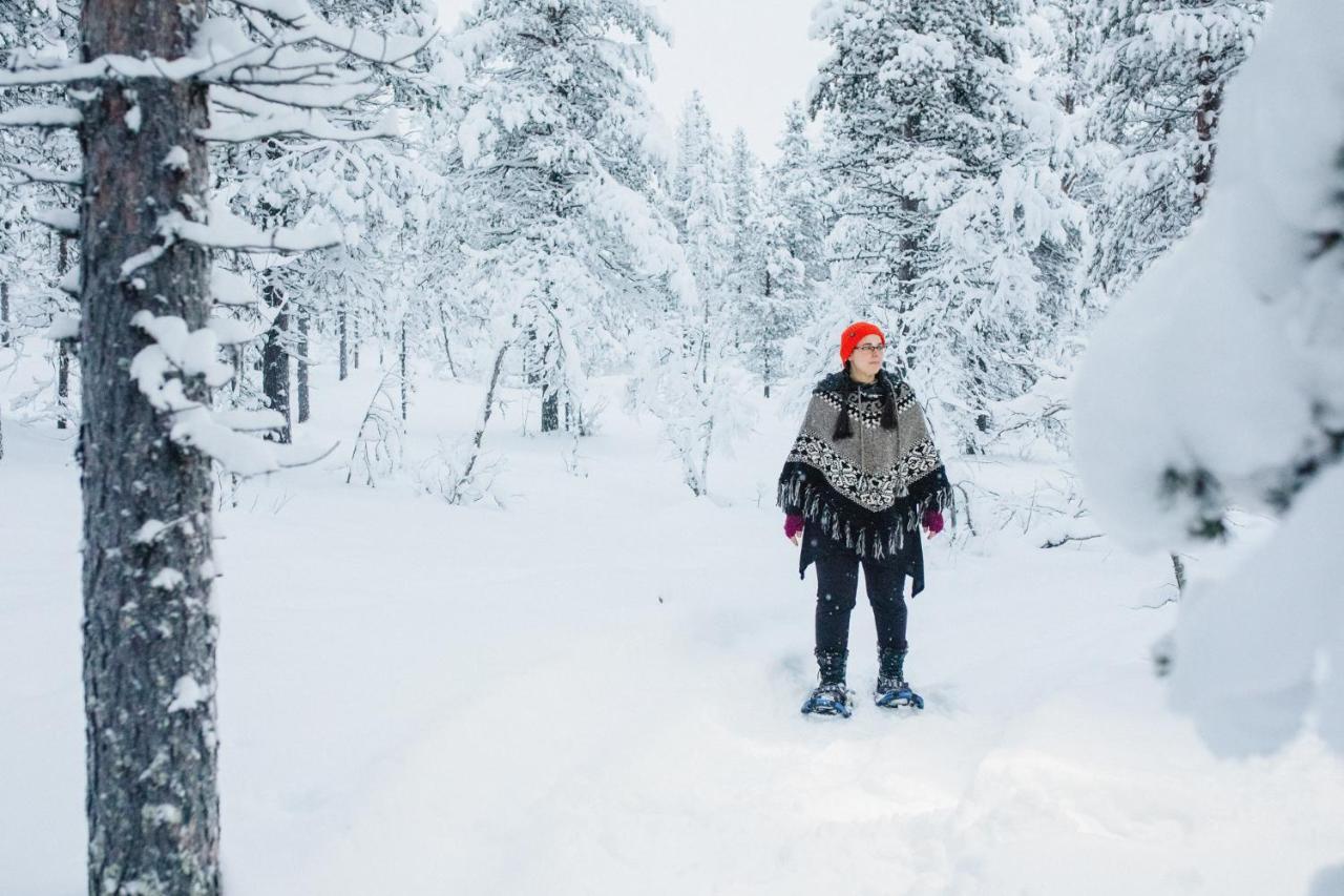 Arctic Sky Lapland Villa Сариселка Екстериор снимка